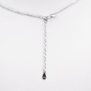 Detailed view of 925 sterling silver extension chain with lobster clasp and S925 tag