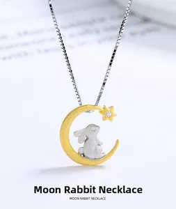 Macro shot of silver rabbit and golden moon pendant necklace with zircon star detail