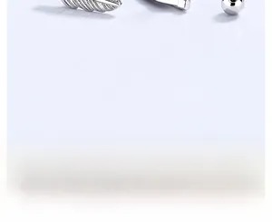 Detailed macro view showing the intricate feather texture and polished 925 silver finish