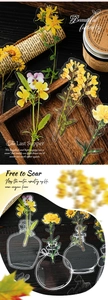 Detailweergave van bloemen PET-stickers met vintage flesontwerpen voor DIY scrapbooking