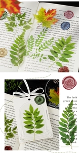 Detail van vintage PET-bladstickers en lakzegels voor DIY-scrapbookingdecoratie