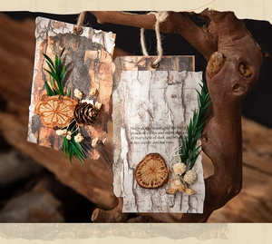 Details aus Vintage-Baumrindenpapier mit getrockneten Kiefernzapfen für DIY-Deko