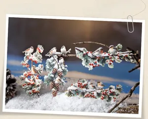 Close-up of winter-themed foliage stickers featuring birds and berries on snow branches