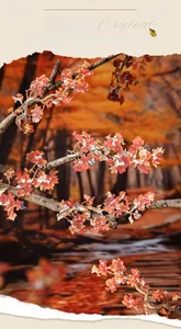 Detail of autumn branch stickers with red leaves and colorful decorative butterflies