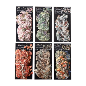 Four Seasons plant stickers set featuring botanical designs for DIY scrapbooking