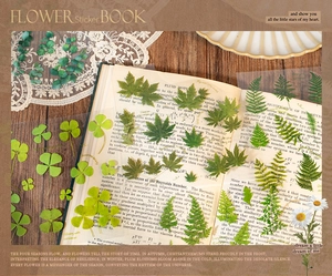 Macro detail of botanical stickers with maple and fern leaves on vintage book pages