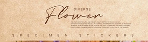 Macro detail of botanical specimen stickers with floral patterns on vintage kraft paper