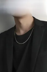 Close-up of a silver titanium steel snake bone chain necklace on a male model neck