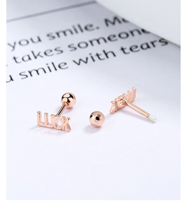 Macro shot of rose gold S925 silver LUCK YOU screw back earrings with polished finish