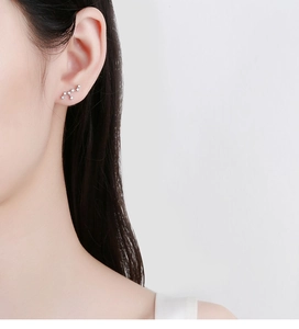 Makroaufnahme von 925 Sterling Silber Sternzeichen Ohrstecker mit Zirkonia Steinen