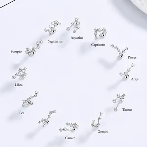 925 Sterling Silver Twelve Zodiac constellations stud earrings set with zircon stones