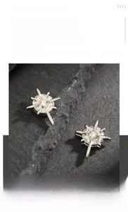 Gros plan sur des boucles d'oreilles magnétiques en acier titane avec étoiles et cristaux