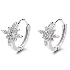 Elegant 925 sterling silver star hoop earrings with sparkling micro-set cubic zirconia