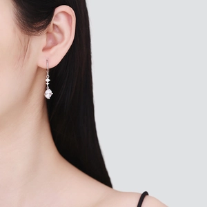Boucles d'oreilles pampilles en argent S925 avec zircons ronds et ovales scintillants