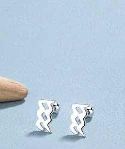 Detailed view of 925 sterling silver Aquarius zodiac stud earrings with screw back design