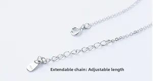 Macro view of adjustable S925 sterling silver extender chain with lobster clasp detail