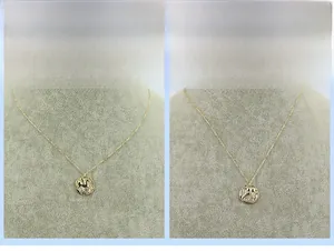 Détail de colliers en argent 925 doré avec pendentifs pièces de pégase et de chouette