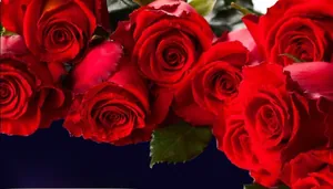Close-up of vibrant red roses backdrop for 1 carat diamond ring presentation