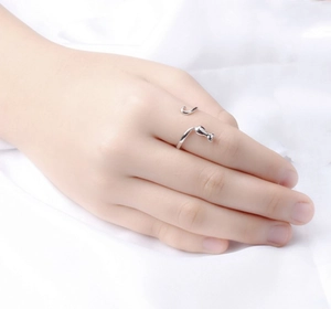 Primo piano di un anello a forma di gatto in argento con testa e coda indossato sul dito
