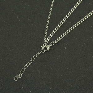 Minimalist silver double-layered stainless steel necklace with adjustable lobster clasp