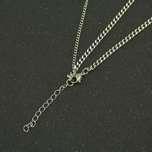 Sleek silver stainless steel star pendant necklace with durable lobster clasp and chain
