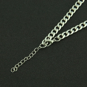 Poliertes silbernes Panzerketten-Halsband mit Karabinerverschluss und Verlängerungskette