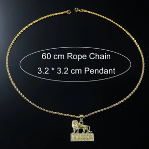 Collier punk pour homme avec pendentif lion doré et diamants sur une chaîne de corde 60cm