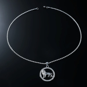 Macro detail of iced-out lion head pendant with sparkling stones on silver rope chain