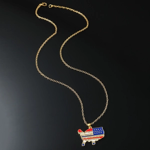 Collana hip hop dorata con ciondolo mappa USA con strass su sfondo nero riflettente