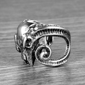 Macro side view of vintage stainless steel ram head ring with intricate punk textures