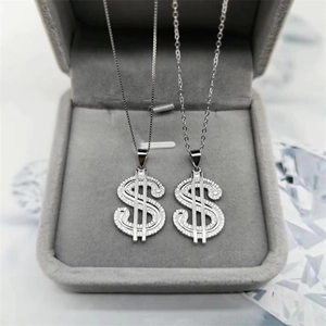Detail van de S925 zilveren dollar hanger met glanzende zirkonia stenen