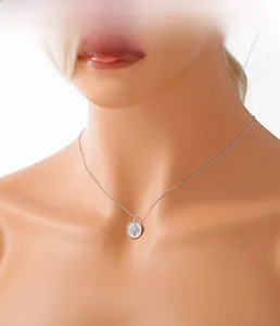 Macro view of S925 sterling silver compass pendant and fine chain on model neck