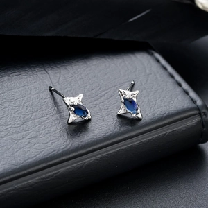 Orecchini a perno a stella in argento con zircone blu scuro e dettagli bianchi fini