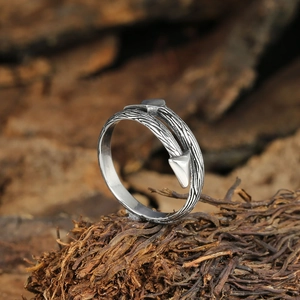 Vintage Cupid's arrow ring in silver steel with textured feather band details