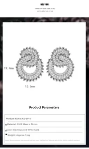 Detail view of 925 sterling silver double circle earrings with cubic zirconia stones