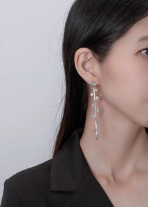 Close-up of long silver tassel earrings with sparkling crystals worn by a model