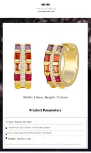 Detailed view of 18k gold plated S925 silver hoop earrings with colorful cubic zirconia