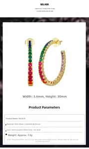Detail view of 30mm rainbow cubic zirconia hoop earrings in 925 sterling silver