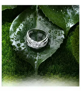 Macro shot of S925 sterling silver ring with cubic zirconia on a fresh green leaf