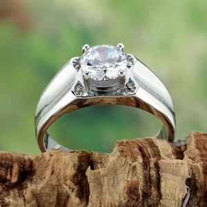 Titanstahl Herrenring mit rundem Solitär-Diamanten auf einem natürlichen Baumrindenhintergrund