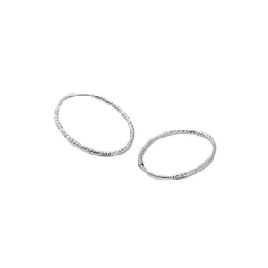 Sparkling S925 sterling silver hoop earrings with diamond-cut texture on white background