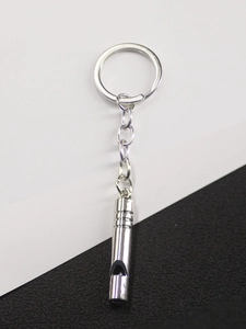 Functional silver metal whistle keychain with round ring on black and white background