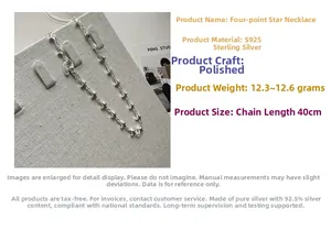 Macro view of S925 sterling silver star pendant necklace with polished surface