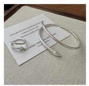 Nahaufnahme von S925 Sterlingsilber Schlangenring und Armband mit feiner Schuppentextur