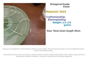 Macro view of 40cm S925 sterling silver octagonal snake chain with high polish finish