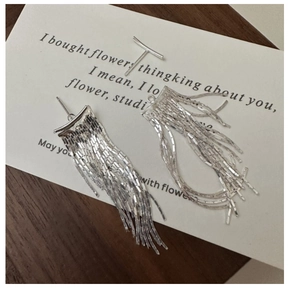 Detail of silver long tassel earrings on a vintage card with a minimalist chain design