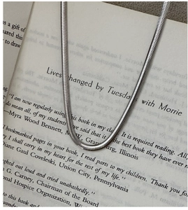 Detailed close-up of a silver flat snake chain necklace resting on book pages