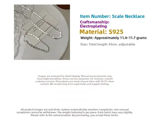 Detail of adjustable S925 sterling silver frosted bean necklace with scale chain links