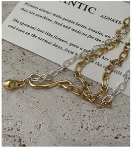 Detailed close-up of S925 sterling silver industrial style chain with S-shaped clasp