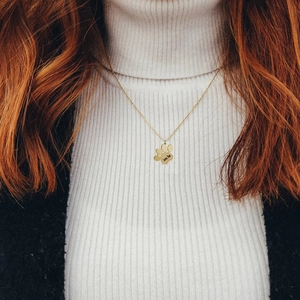 Collana dorata personalizzata con ciondolo zampa e incisione del nome Jones Bo su misura